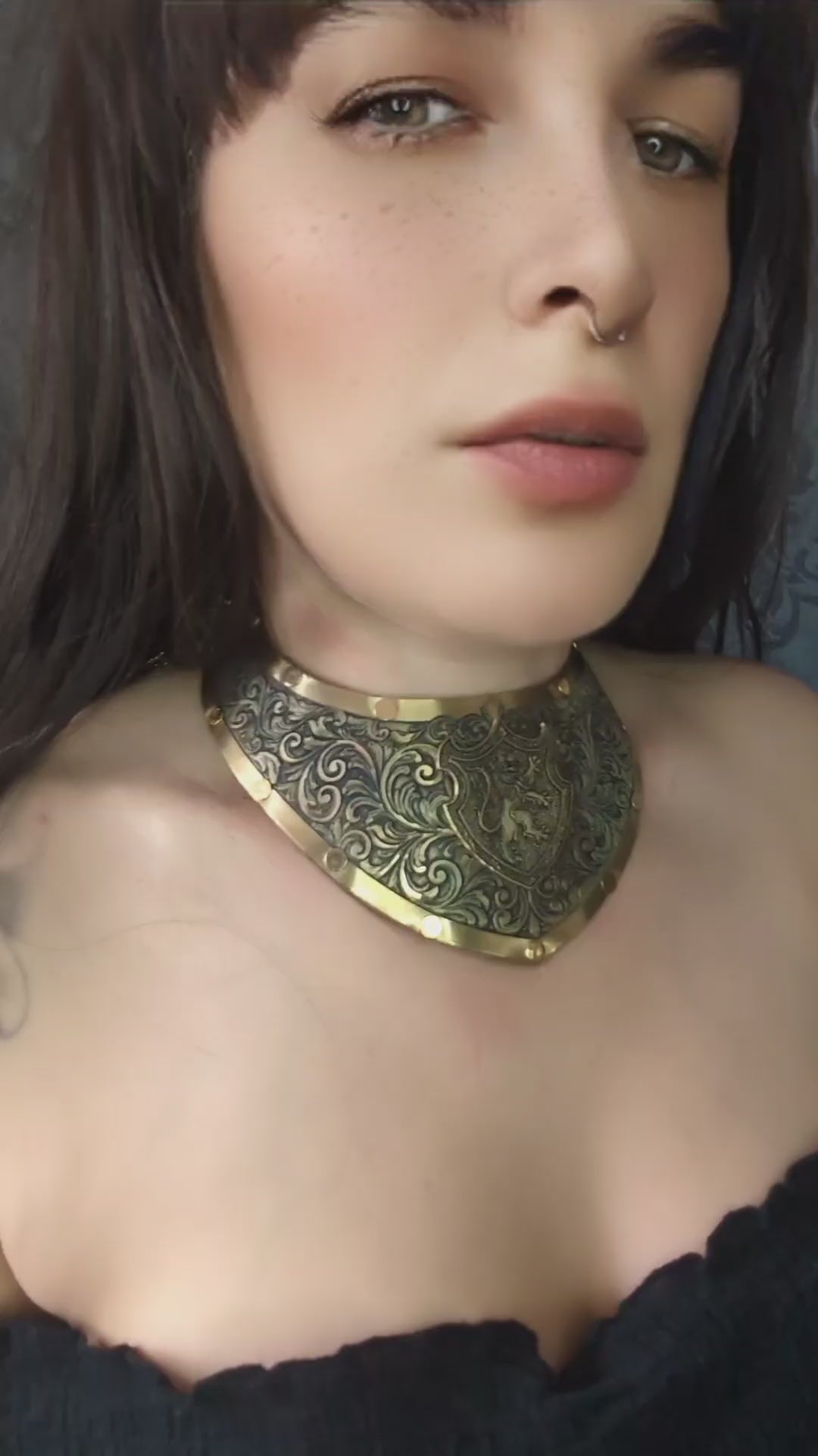 Collier Plastron Gorget – Blason Lion Héraldique Laiton